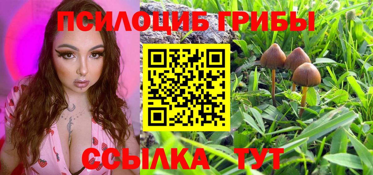 Галлюциногенные грибы Psilocybine cubensis  Вход с VPN  Приморско-Ахтарск 